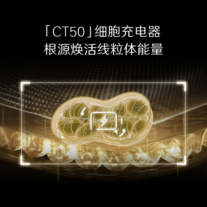 皮肤衰老的本质是细胞线粒体能量不足